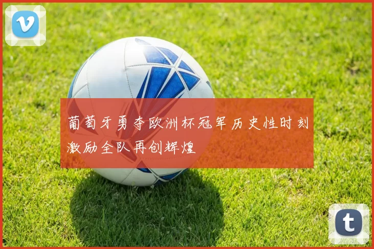 葡萄牙勇夺欧洲杯冠军历史性时刻激励全队再创辉煌